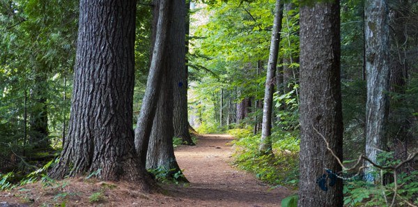 雙層龍骨運動籃球木地板清潔保養3